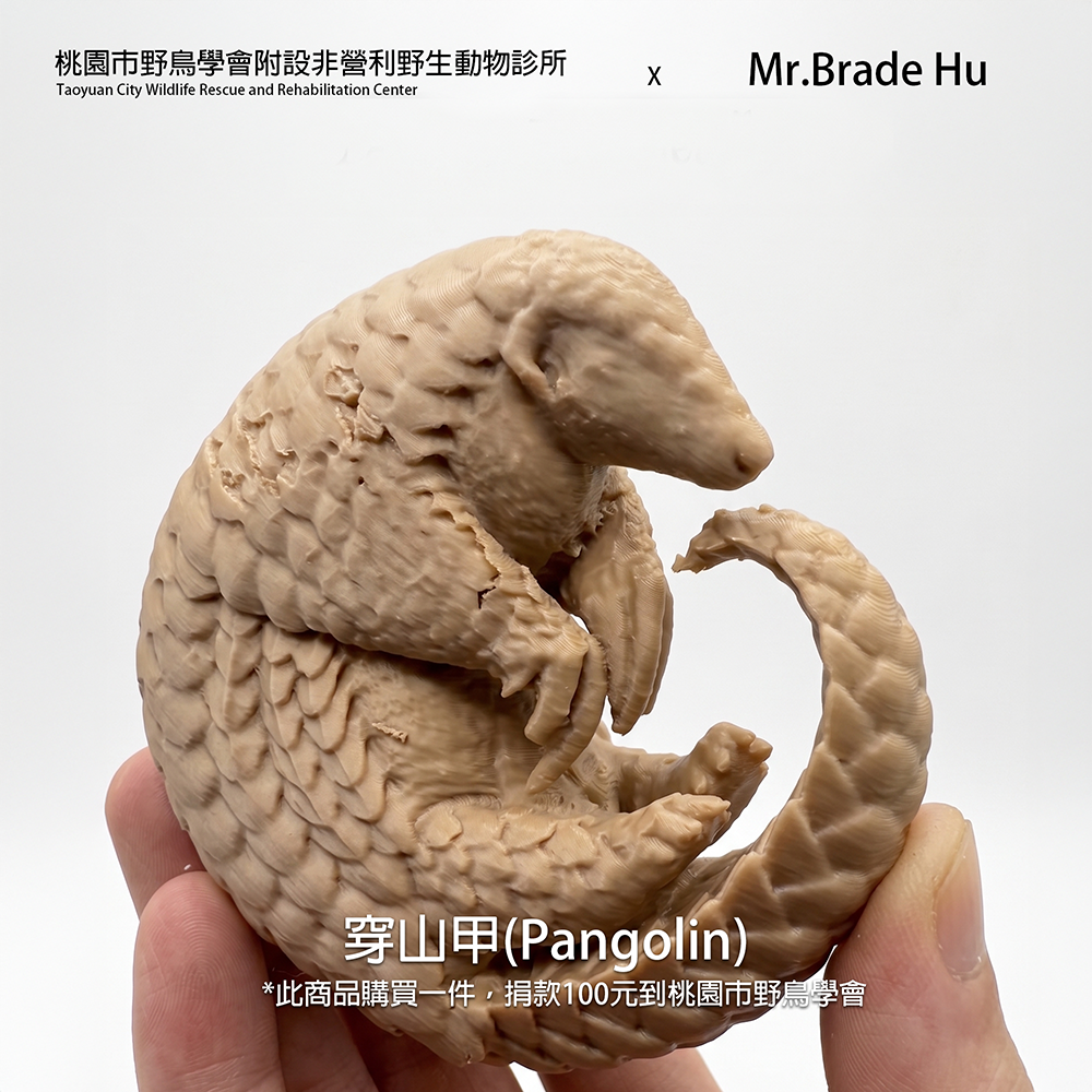 【印活物】3D列印 穿山甲 1:3模型-細節圖2