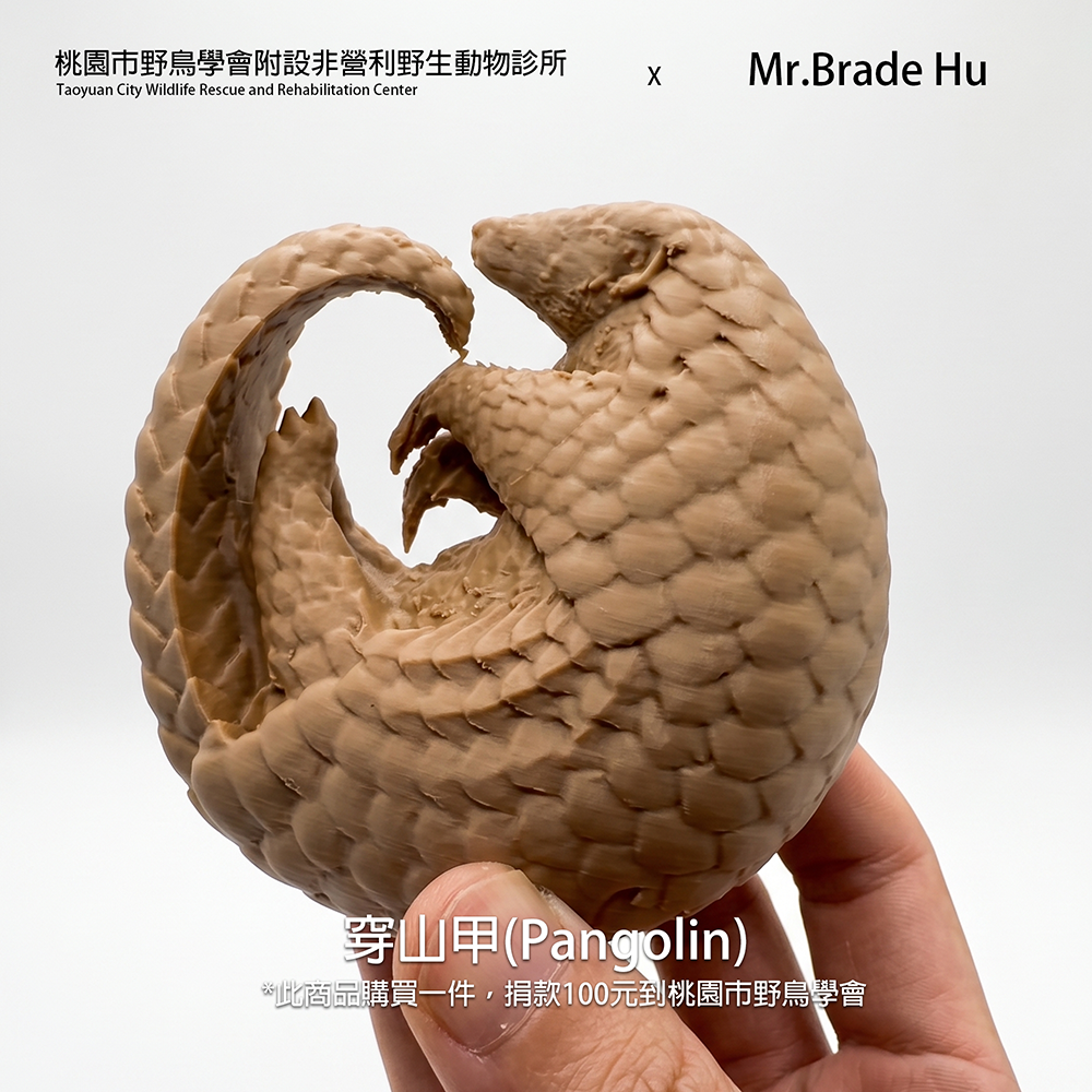 【印活物】3D列印 穿山甲 1:3模型-細節圖3