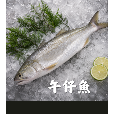 i 鮮屋 | 月下豐盛組-細節圖6