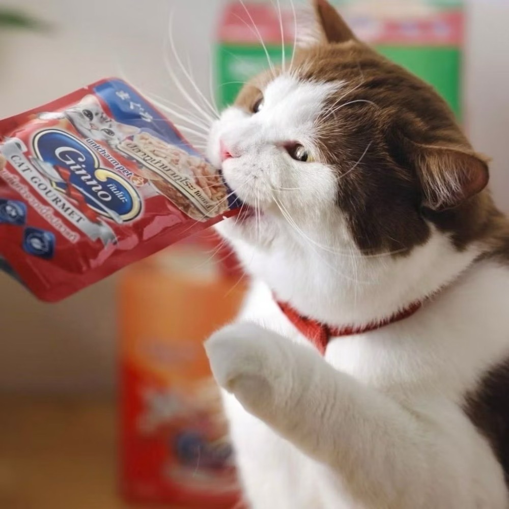 ￼現貨秒出🔥2026長效期🧡銀湯匙餐包🧡日本 Unicharm 嬌聯 銀湯匙 餐包 軟包 湯包 貓餐包 貓咪餐包-細節圖5