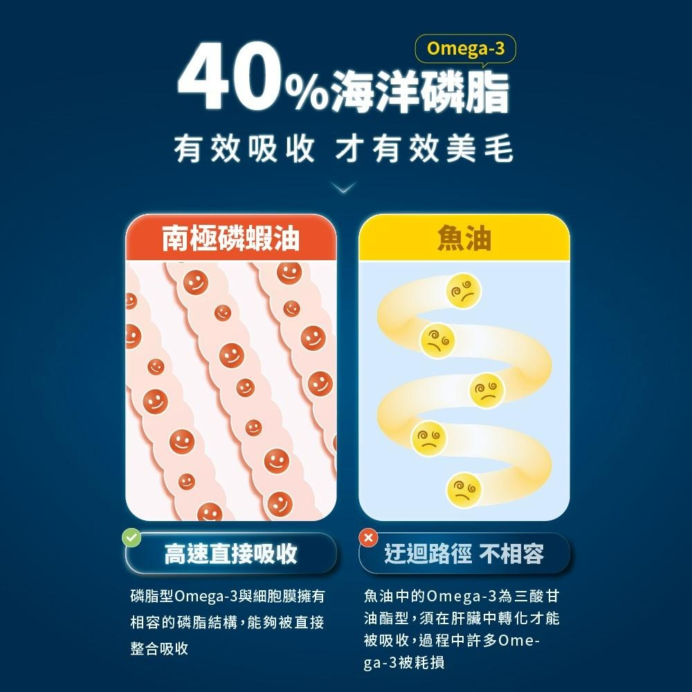 買就送試吃包小包凍乾😎Vcare 南極磷蝦油 15ml 犬貓專用 美毛保健 護毛保健 高適口性 純淨 富含蝦紅素 磷蝦油-細節圖3