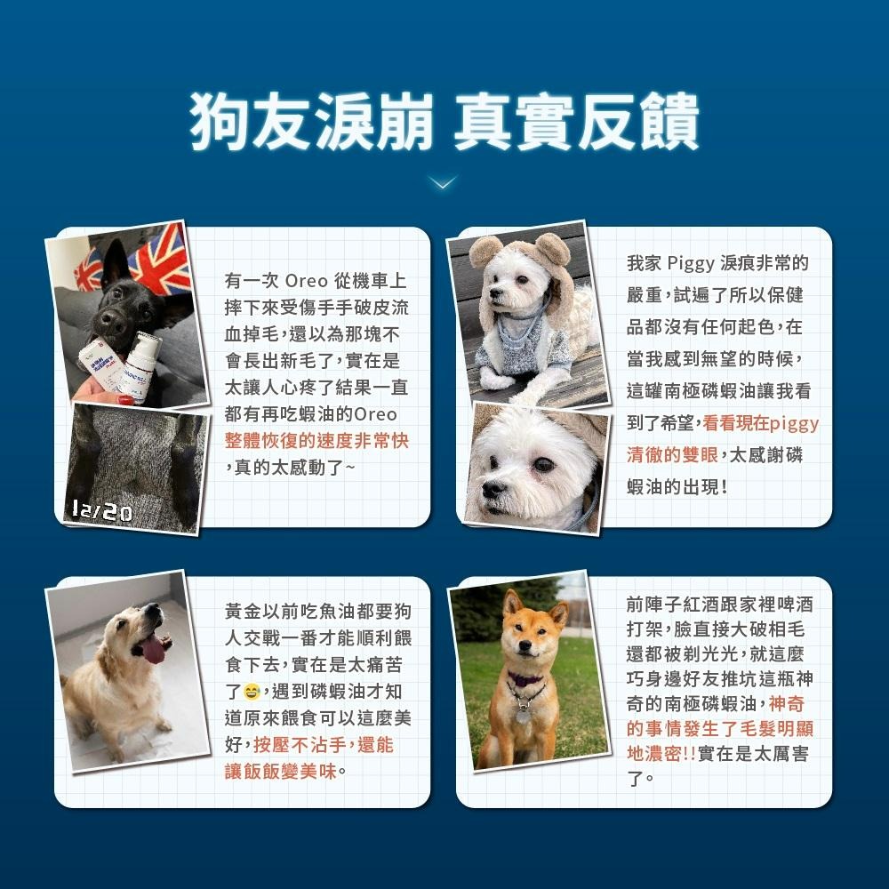 買就送試吃包小包凍乾😎Vcare 南極磷蝦油 15ml 犬貓專用 美毛保健 護毛保健 高適口性 純淨 富含蝦紅素 磷蝦油-細節圖8