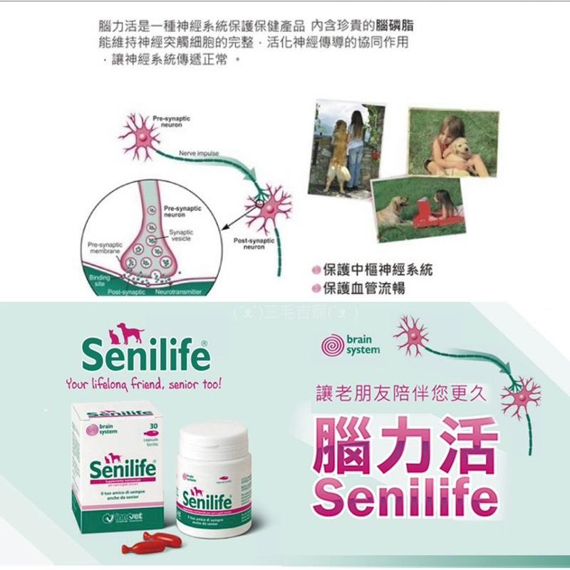 買就送小凍乾2🤟🏻公司貨可隔日到 法國innovt腦力活Senilfe高齡寵物腦部營養補充劑 高齡犬貓 30錠 三毛吉寵-細節圖2