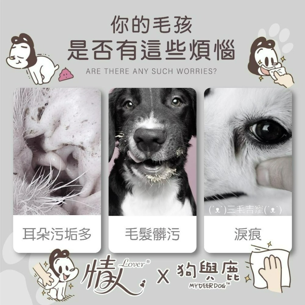 擦臉臉hen舒湖🥰 情人lover 寵物專用衛生紙 狗與鹿 寵物用抽取式紙巾 寵物衛生紙 寵物紙巾 正隆製造-細節圖3