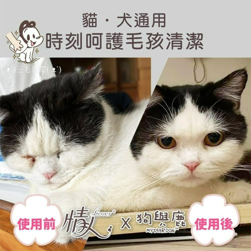 擦臉臉hen舒湖🥰 情人lover 寵物專用衛生紙 狗與鹿 寵物用抽取式紙巾 寵物衛生紙 寵物紙巾 正隆製造-細節圖4