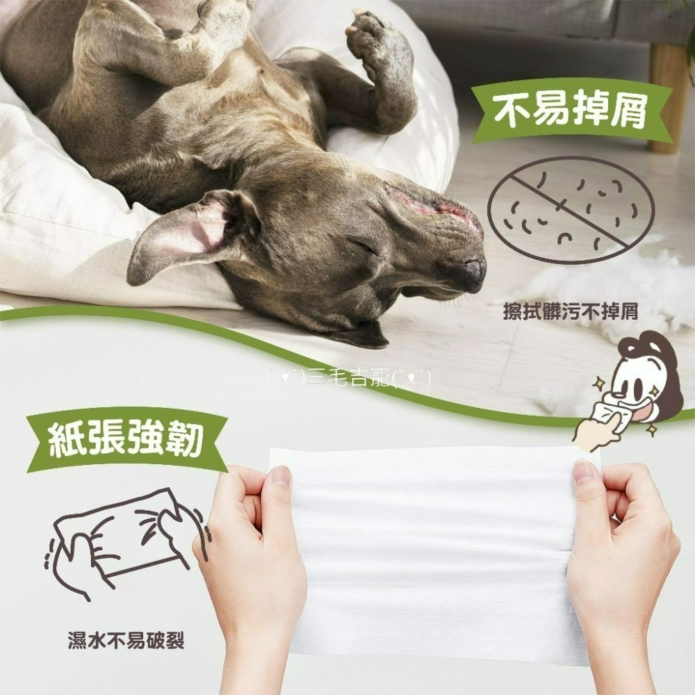 擦臉臉hen舒湖🥰 情人lover 寵物專用衛生紙 狗與鹿 寵物用抽取式紙巾 寵物衛生紙 寵物紙巾 正隆製造-細節圖5