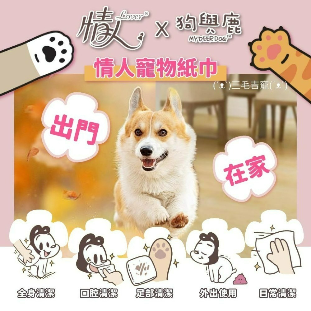 擦臉臉hen舒湖🥰 情人lover 寵物專用衛生紙 狗與鹿 寵物用抽取式紙巾 寵物衛生紙 寵物紙巾 正隆製造-細節圖8
