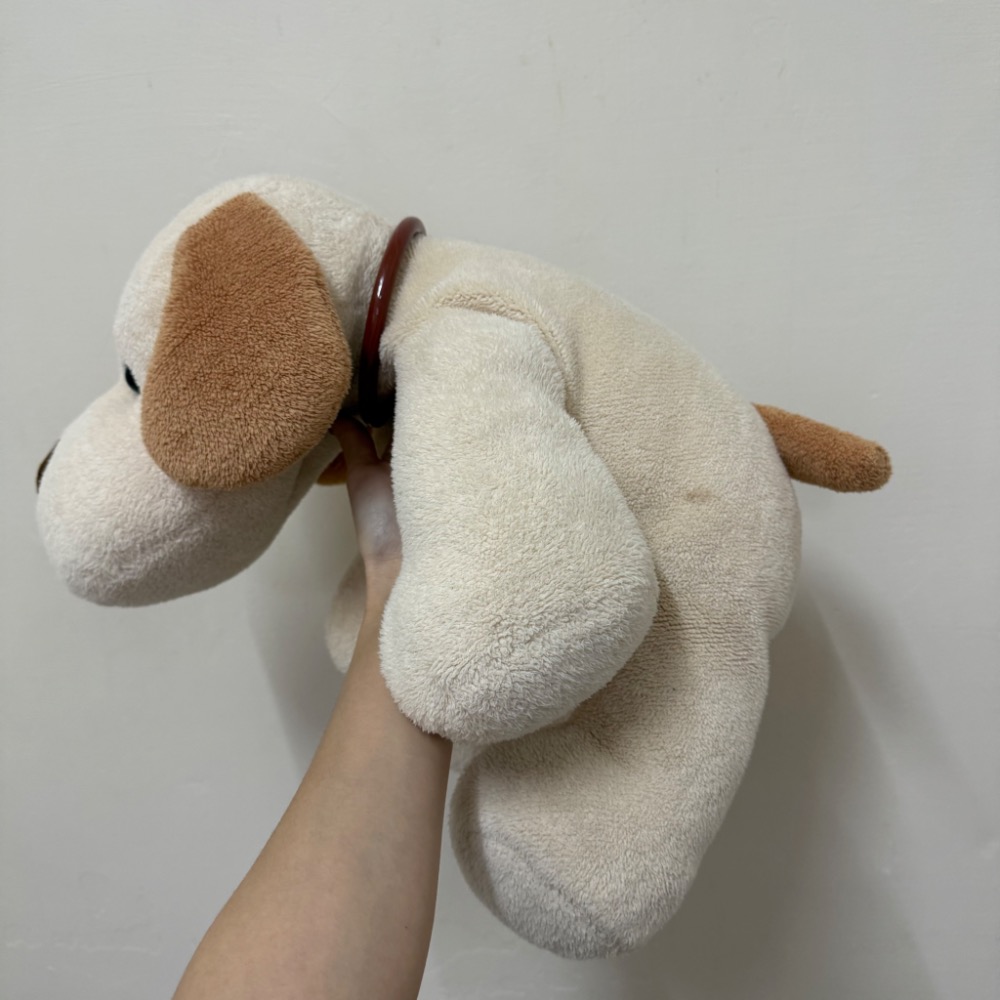 【魔法找回憶】G48箱 大隻 大鼻子狗狗 娃娃 玩偶 沙包 顆粒 早期 復古 小狗 趴趴狗 童趣 安撫娃娃-細節圖3