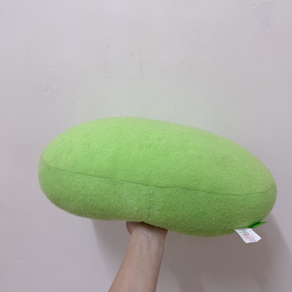 【魔法找回憶】G48箱 青蛙 抱枕 枕頭 restin FOREST 早期 復古 懷舊 娃娃 玩偶 可愛 童趣-細節圖6