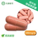 燃辛脂 辣椒素膠囊 500mg/粒 燃燒系 新陳代謝 調節機能 辣椒素萃取 台灣公司貨-規格圖3