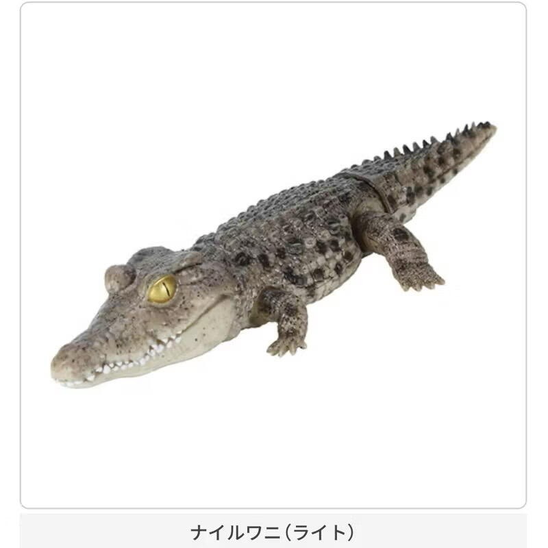 玩具研究中心 現貨  萬代 轉蛋 扭蛋 生物大圖鑑 鱷魚 Repti 尼羅鱷 恆河鱷 全5種-細節圖4