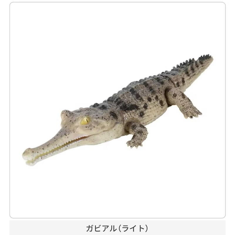 玩具研究中心 現貨  萬代 轉蛋 扭蛋 生物大圖鑑 鱷魚 Repti 尼羅鱷 恆河鱷 全5種-細節圖6