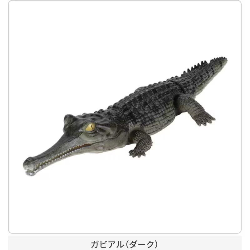 玩具研究中心 現貨  萬代 轉蛋 扭蛋 生物大圖鑑 鱷魚 Repti 尼羅鱷 恆河鱷 全5種-細節圖9