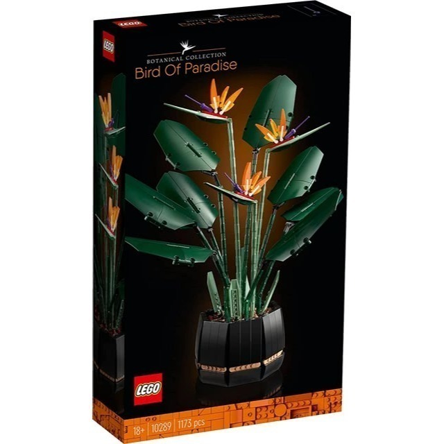 玩具研究中心 現貨 樂高 LEGO 積木 創意系列 天堂鳥 Bird of Paradise 10289-細節圖4