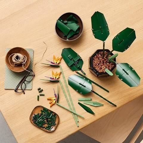 玩具研究中心 現貨 樂高 LEGO 積木 創意系列 天堂鳥 Bird of Paradise 10289-細節圖5