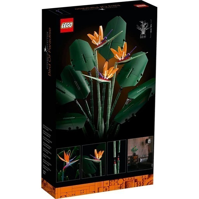 玩具研究中心 現貨 樂高 LEGO 積木 創意系列 天堂鳥 Bird of Paradise 10289-細節圖6