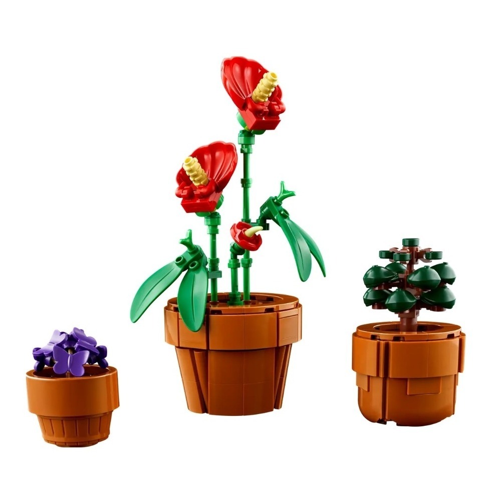 玩具研究中心 現貨 樂高 LEGO 積木 IDEAS 系列 迷你盆栽 Tiny Plants10329-細節圖5