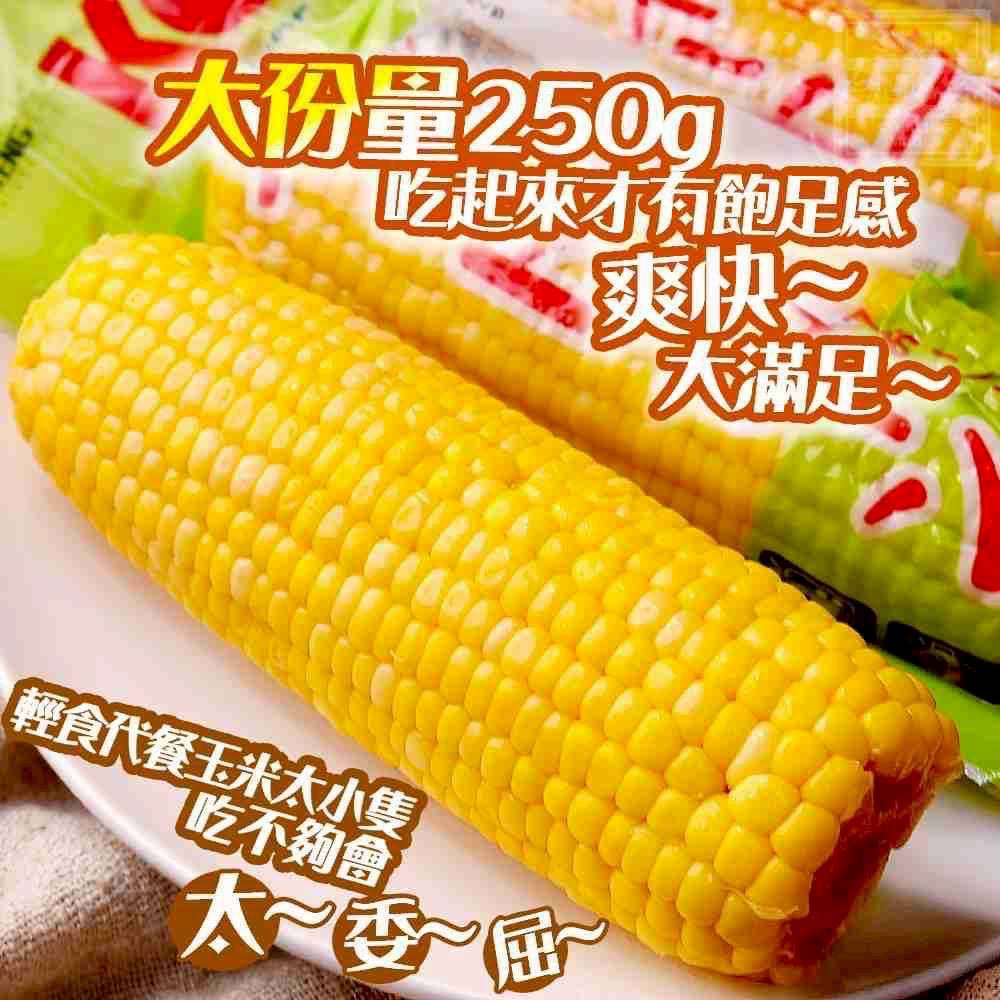 IA KC陽光-黃金玉米棒｜露營首選｜即食/可單買1隻/3隻優惠價格「出清賠錢賣」-細節圖4