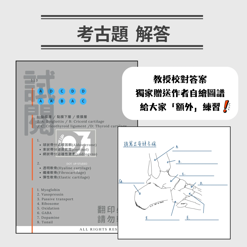 ［台綜大考古題解答］ 中興大學 獸醫 B08 轉學考 動物結構與功能 二年級 歷屆解答 *電子檔*-細節圖2