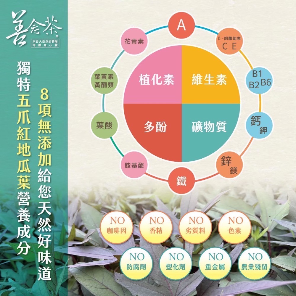 【善念茶家庭版❤️】 |年代新聞聚焦2.0  |五爪紅地瓜葉 | 無咖啡因| 養生茶 |你可以不生病-細節圖6