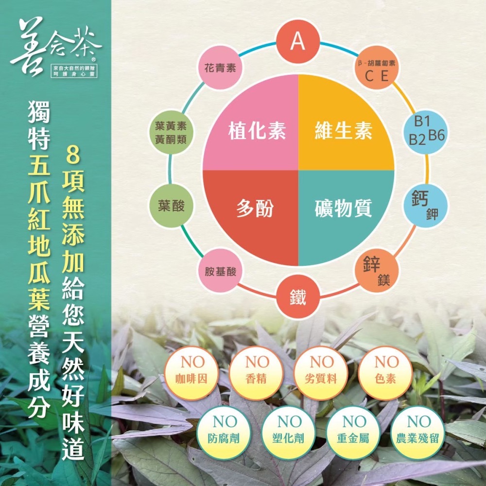 【善念茶家庭版❤️】 |年代新聞台聚焦2.0 |五爪紅地瓜葉 | 無咖啡因| 養生茶 |你可以不生病-細節圖6