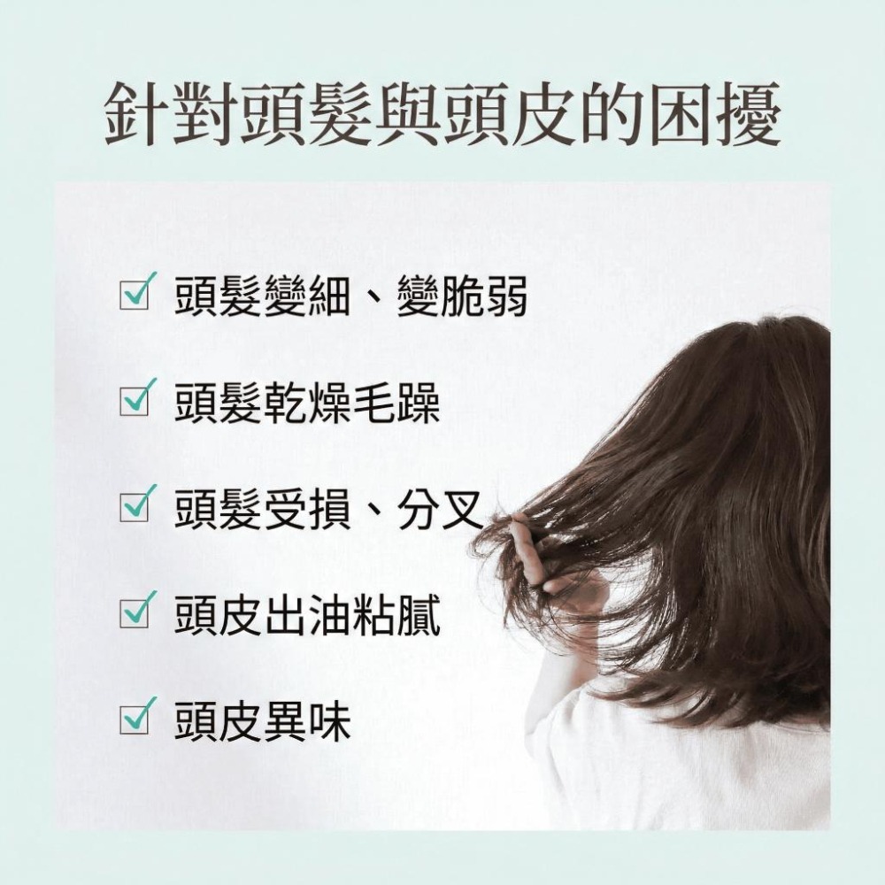 【飛魚愛日貨】全效淨化植萃頭皮SPA泥-細節圖2