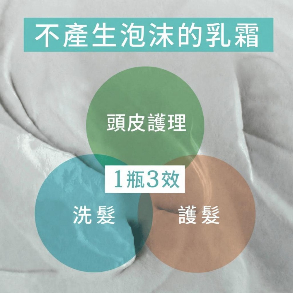 【飛魚愛日貨】全效淨化植萃頭皮SPA泥-細節圖3