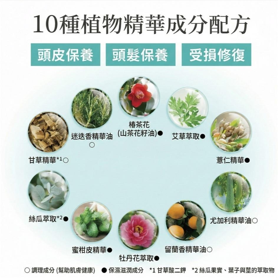 【飛魚愛日貨】全效淨化植萃頭皮SPA泥-細節圖7