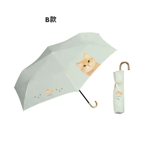 橘貓