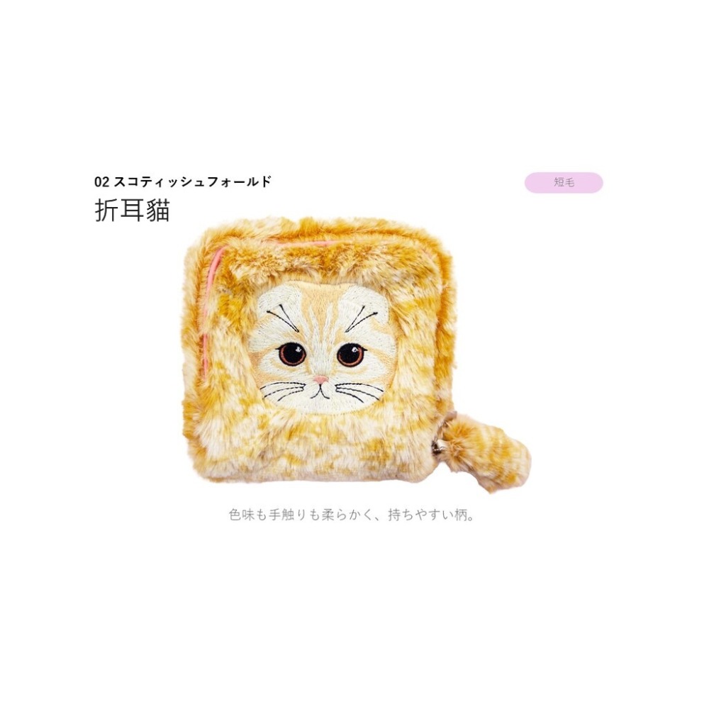 折耳貓