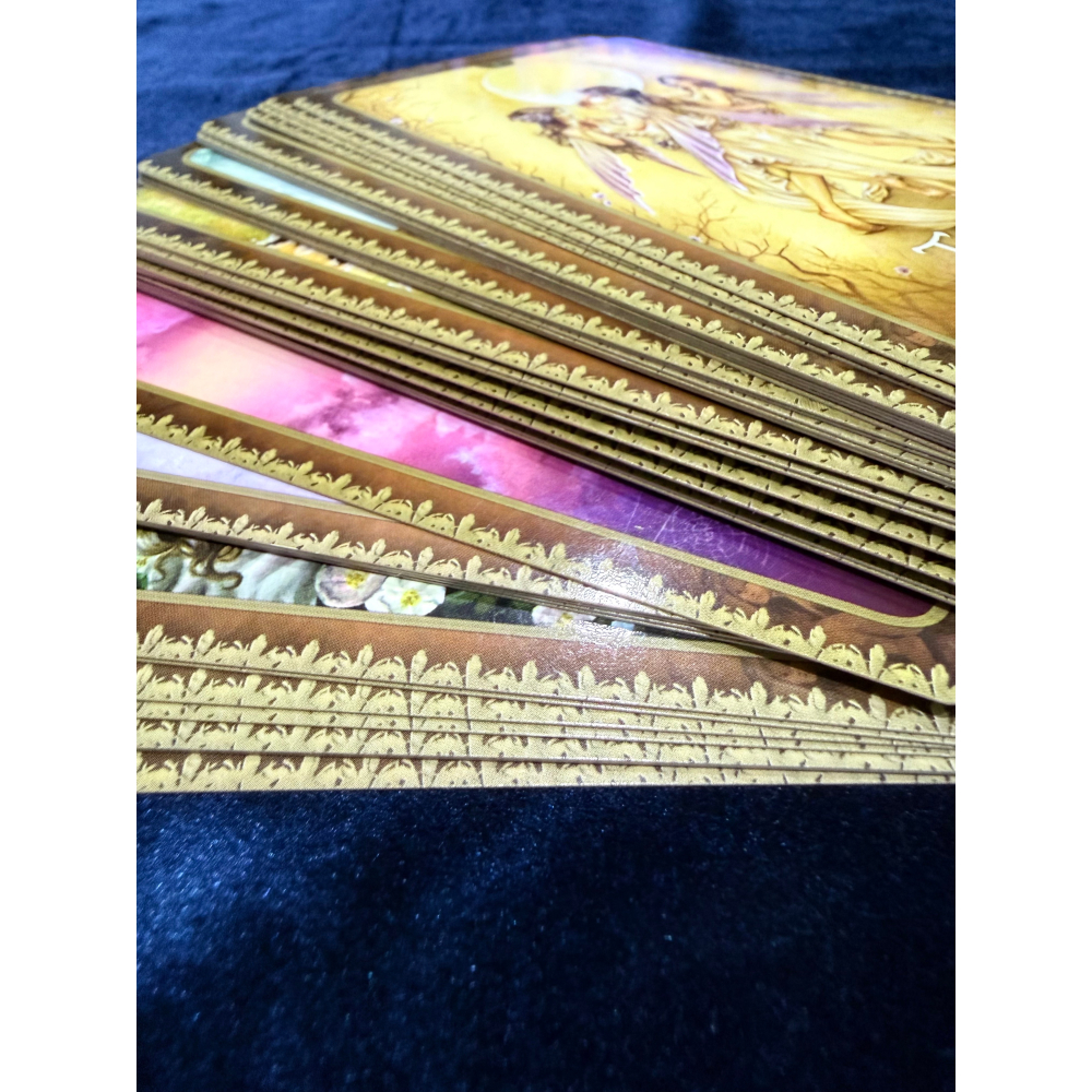 野性精靈智慧預言卡Wild Wisdom of the Faery Oracle二手牌卡出清-細節圖2