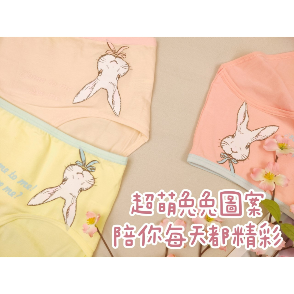 庭兒柑仔店🍊【20JT9】阿比兔 棉感小褲 內褲 M-L 三角褲 viscose 棉質 兔子-細節圖6