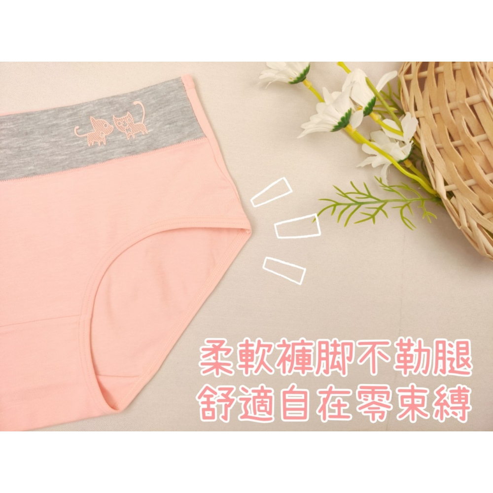 庭兒柑仔店🍊【08JT9】中腰 棉質 纖維棉 內褲♥矽膠貓咪🐱馬卡龍色系 棉質內褲 三角褲 女生內褲 學生內褲-細節圖3