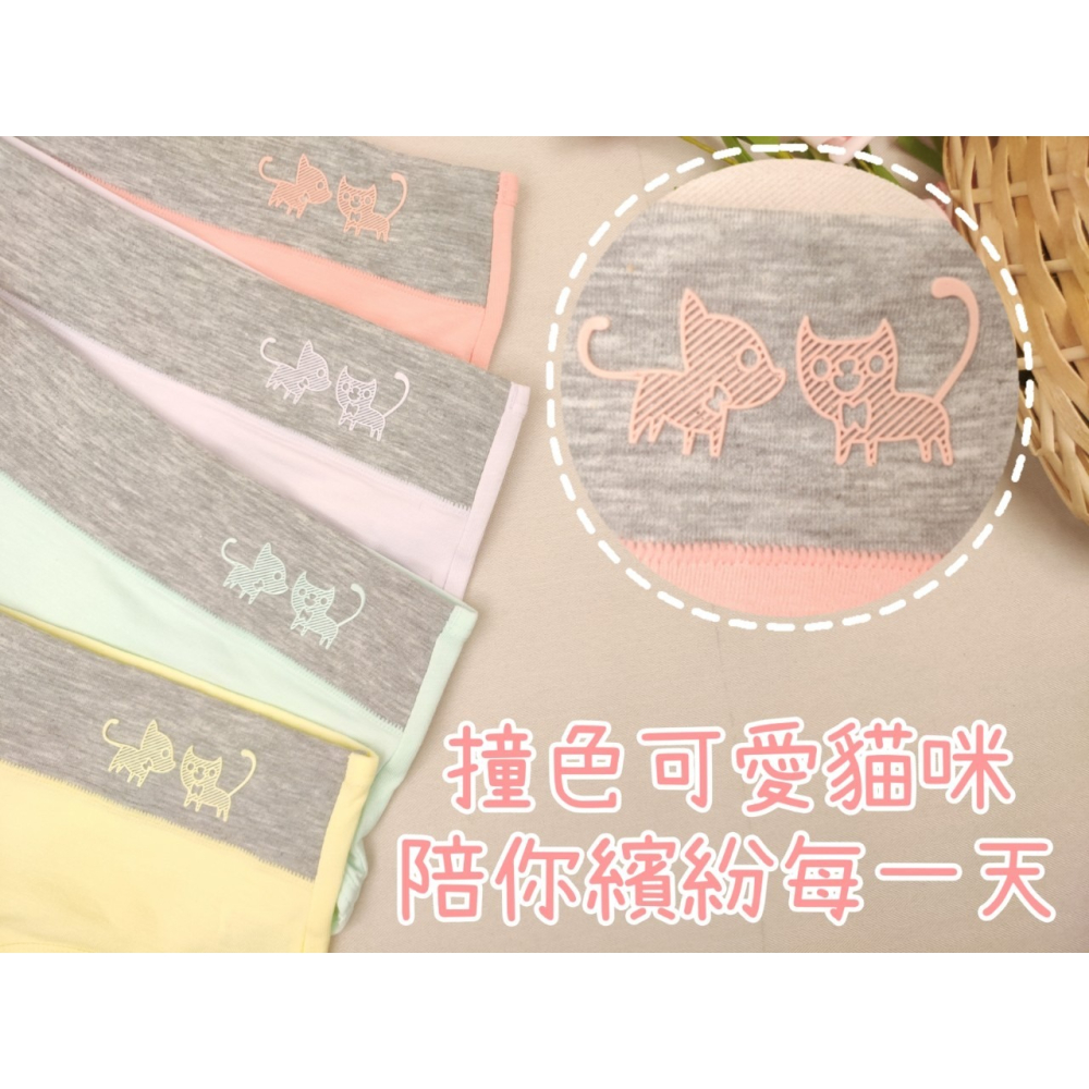 庭兒柑仔店🍊【08JT9】中腰 棉質 纖維棉 內褲♥矽膠貓咪🐱馬卡龍色系 棉質內褲 三角褲 女生內褲 學生內褲-細節圖5