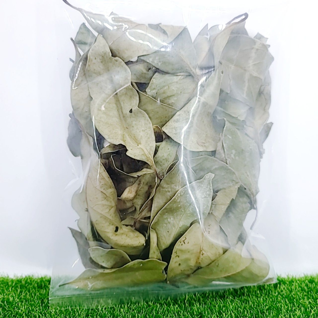 Bay Leaves 月桂葉 香葉 香桂 桂葉 乾燥月桂葉 香料 調味料 香草料 月桂 佐味香料 印尼進口 印尼月桂葉-細節圖3