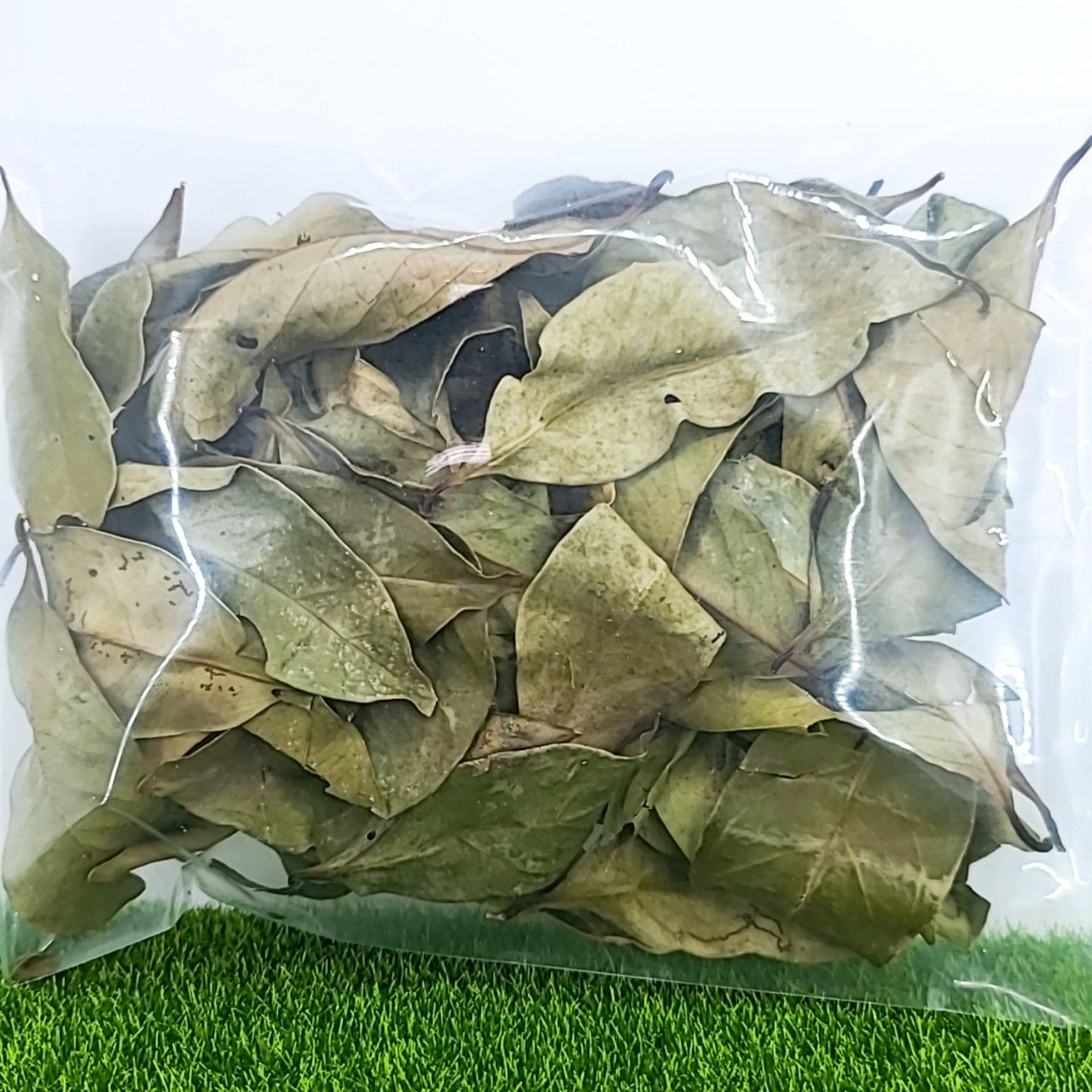 Bay Leaves 月桂葉 香葉 香桂 桂葉 乾燥月桂葉 香料 調味料 香草料 月桂 佐味香料 印尼進口 印尼月桂葉-細節圖5