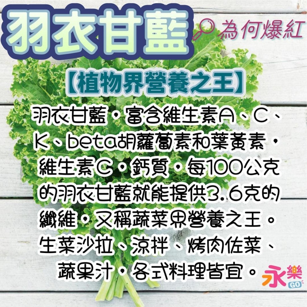 開心農場蔬菜營養之王 羽衣甘藍幼苗 羽衣甘藍苗 菜苗 秋冬限定 菜苗 綠化 蔬菜苗 蛋白質 恐龍羽衣甘藍 永樂購苗圃-細節圖2