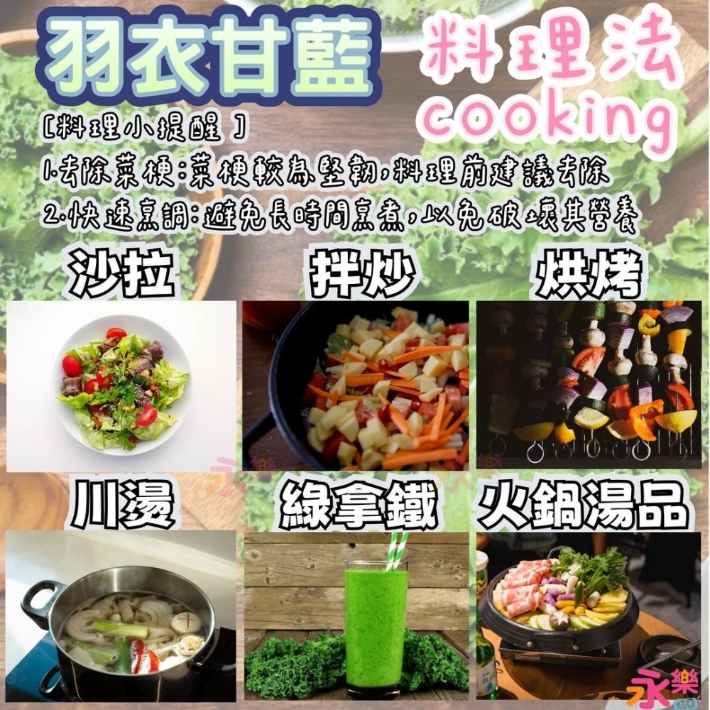 開心農場蔬菜營養之王 羽衣甘藍幼苗 羽衣甘藍苗 菜苗 秋冬限定 菜苗 綠化 蔬菜苗 蛋白質 恐龍羽衣甘藍 永樂購苗圃-細節圖4