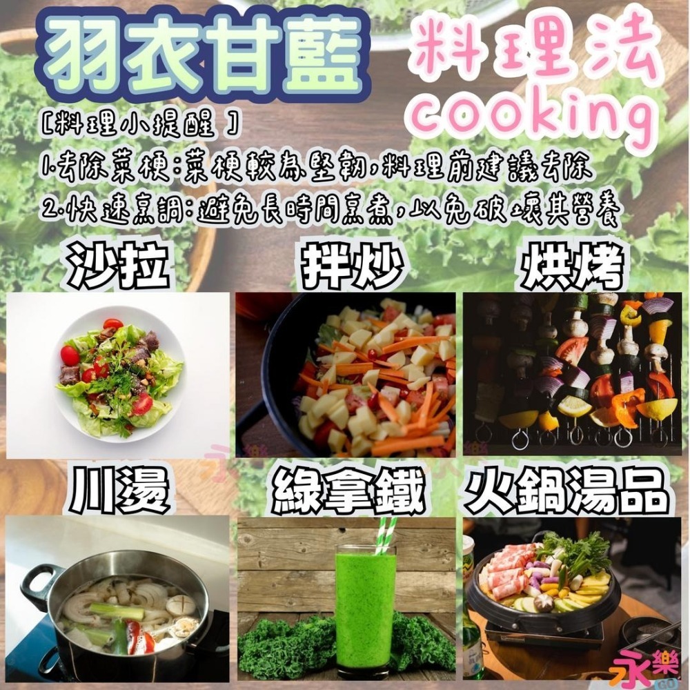 開心農場蔬菜營養之王 羽衣甘藍幼苗 羽衣甘藍苗 菜苗 秋冬限定 菜苗 綠化 蔬菜苗 蛋白質 恐龍羽衣甘藍 永樂購苗圃-細節圖4