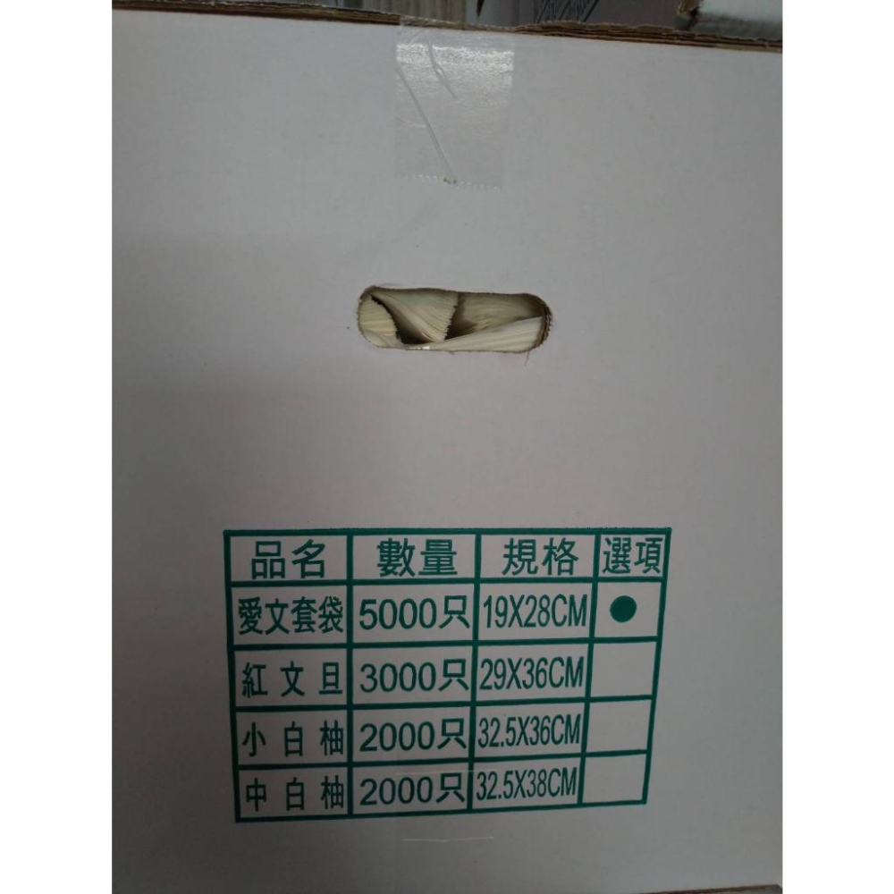 【大展】佰菓愛文芒果/酪梨套袋100入/標準/立體套袋/最多8束/28*19(公分)/含鐵絲/白色套袋/油性防水-細節圖3