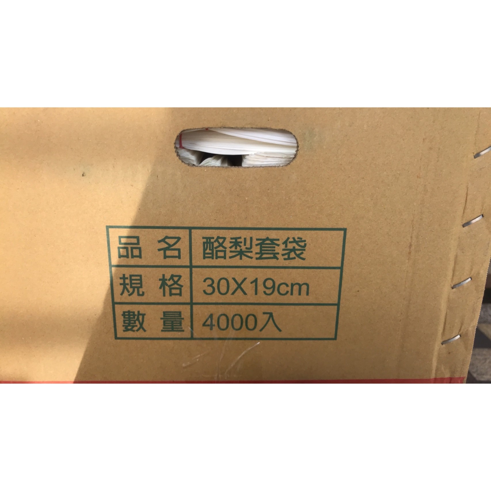 【大展】佳園酪梨套袋100入/立體套袋-(含鐵絲)/30*19(公分)/白色套袋-細節圖2