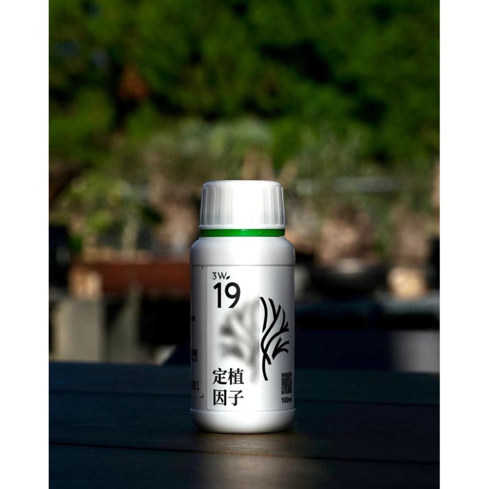 3W-19 高鉀營養劑｜本體肥厚・抑制徒長｜塊根植物專用｜可搭3W-10-細節圖2