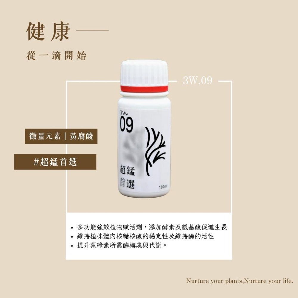 3W 補錳營養液 3W-09｜改善葉片黃化/提升光合作用｜多肉 觀葉 塊根專用補微量元素-細節圖2