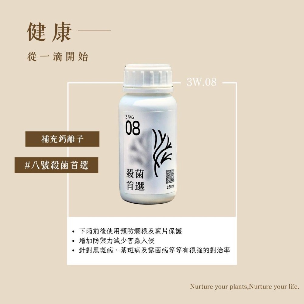 3W 強效殺菌液 3W-08｜防黑斑/葉斑｜多肉 塊根 觀葉｜植物菌害處理必備-細節圖2