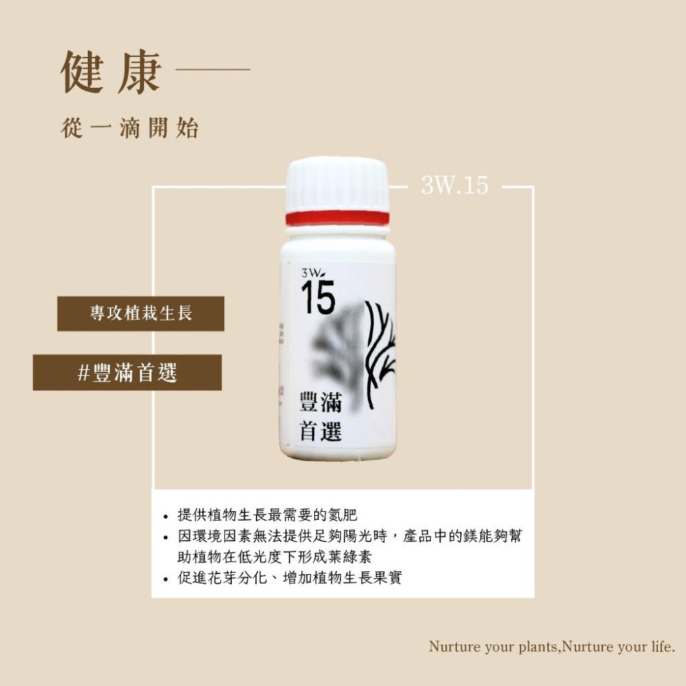 3W 生長肥 3W-15｜促進枝葉豐滿/壯苗｜多肉 觀葉專用｜植物生長營養液-細節圖2