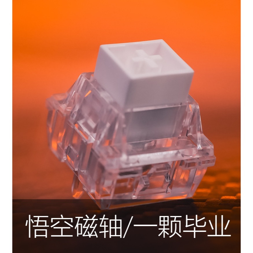 EVERGLIDE 江灣 SU75Pro 電競鍵盤-細節圖3