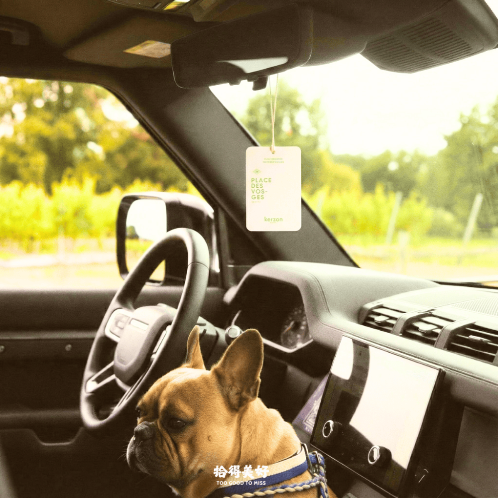 【拾得美好】Kerzon 衣物香氛卡 衣物芳香 衣櫃 抽屜 車用香氛 孚日廣場 檀木 紫羅蘭 法國製 現貨 開發票-細節圖4