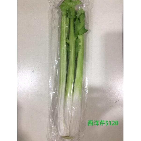 【台灣現貨】【免運】《寶貝蛋》抓周服 抓週用品 仿真聽.診器.聽筒(醫生表演道具)派對道具 抓周用具 黑色款/紅色款☆-細節圖6