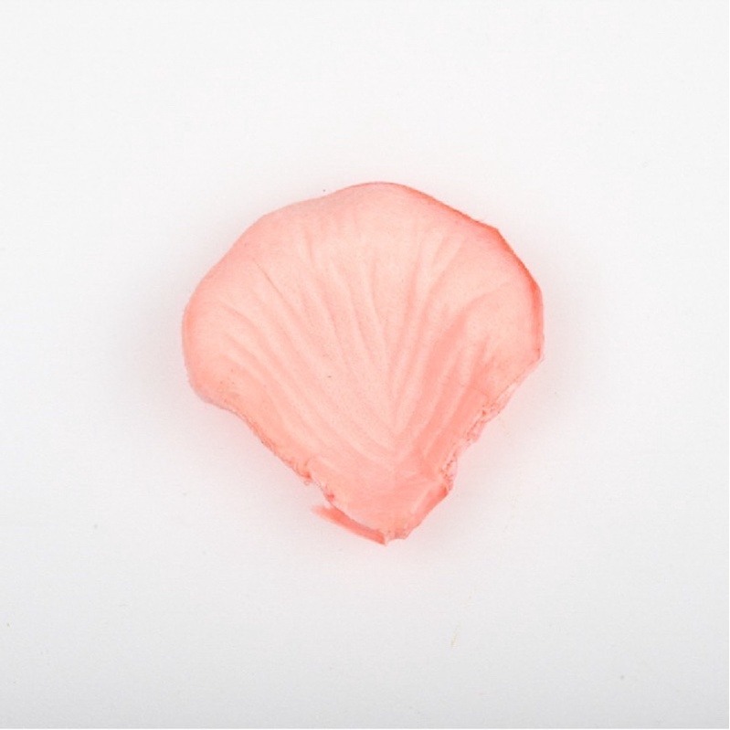 21.肉粉（100片）