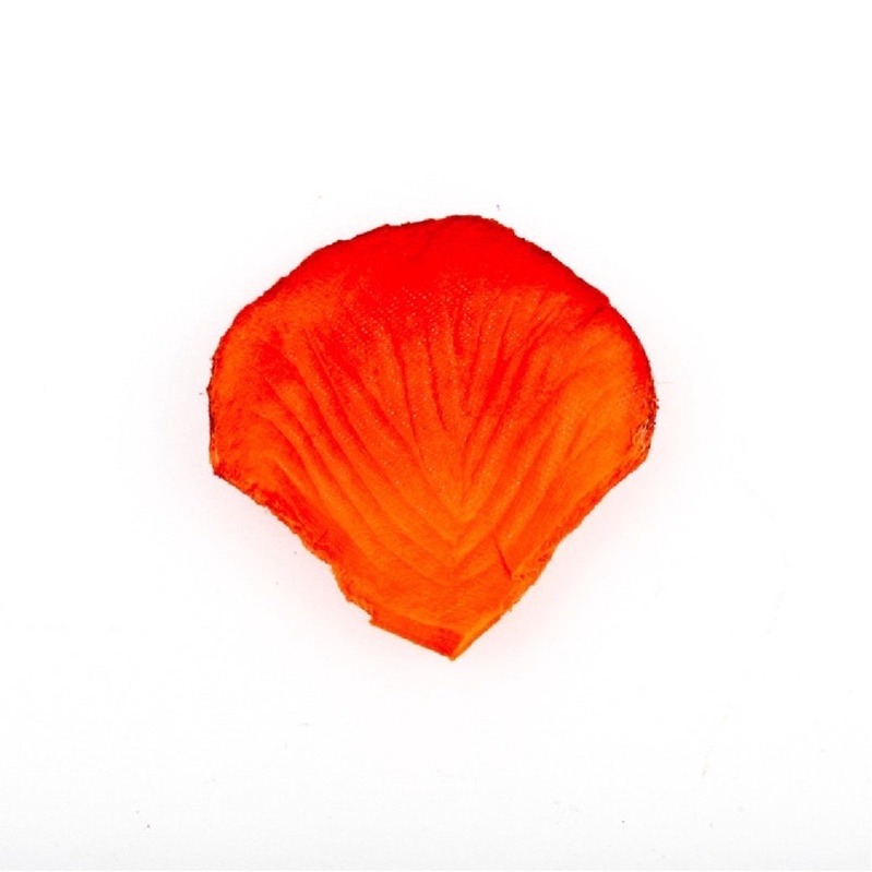 5.夕陽紅（100片）